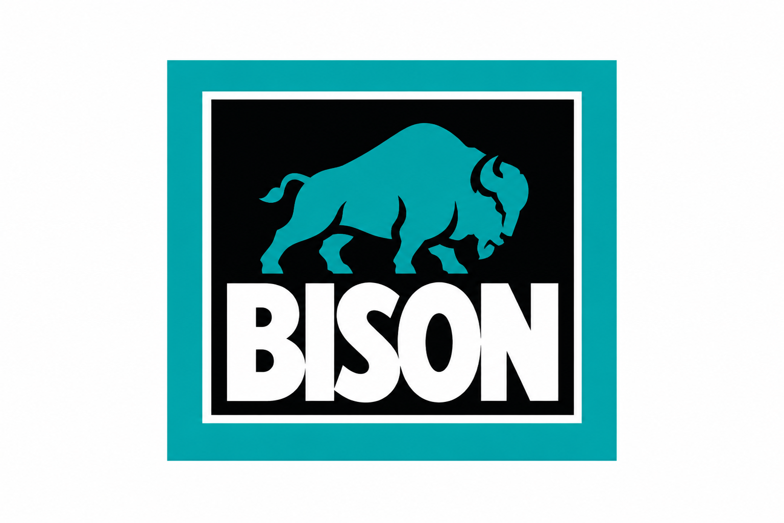 Bison